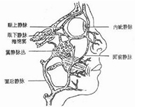 頜面部炎癥
